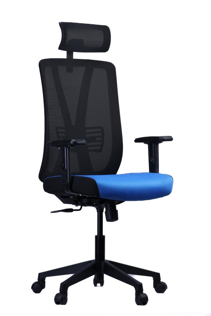 Y-Back Mesh Chair — Blue Seat — main