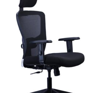 Ergonomic Mesh Chair with Lumbar and Headrest — main