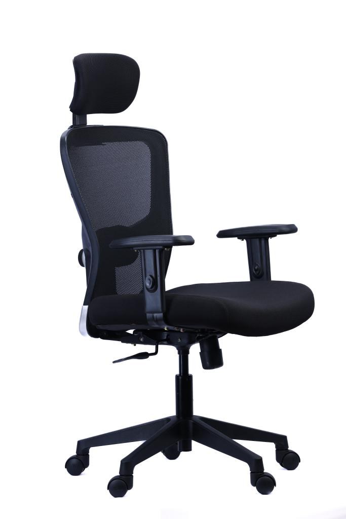 Ergonomic Mesh Chair with Lumbar and Headrest — main